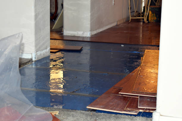 Professional Water Damage Restoration technician working in Goodman, MS